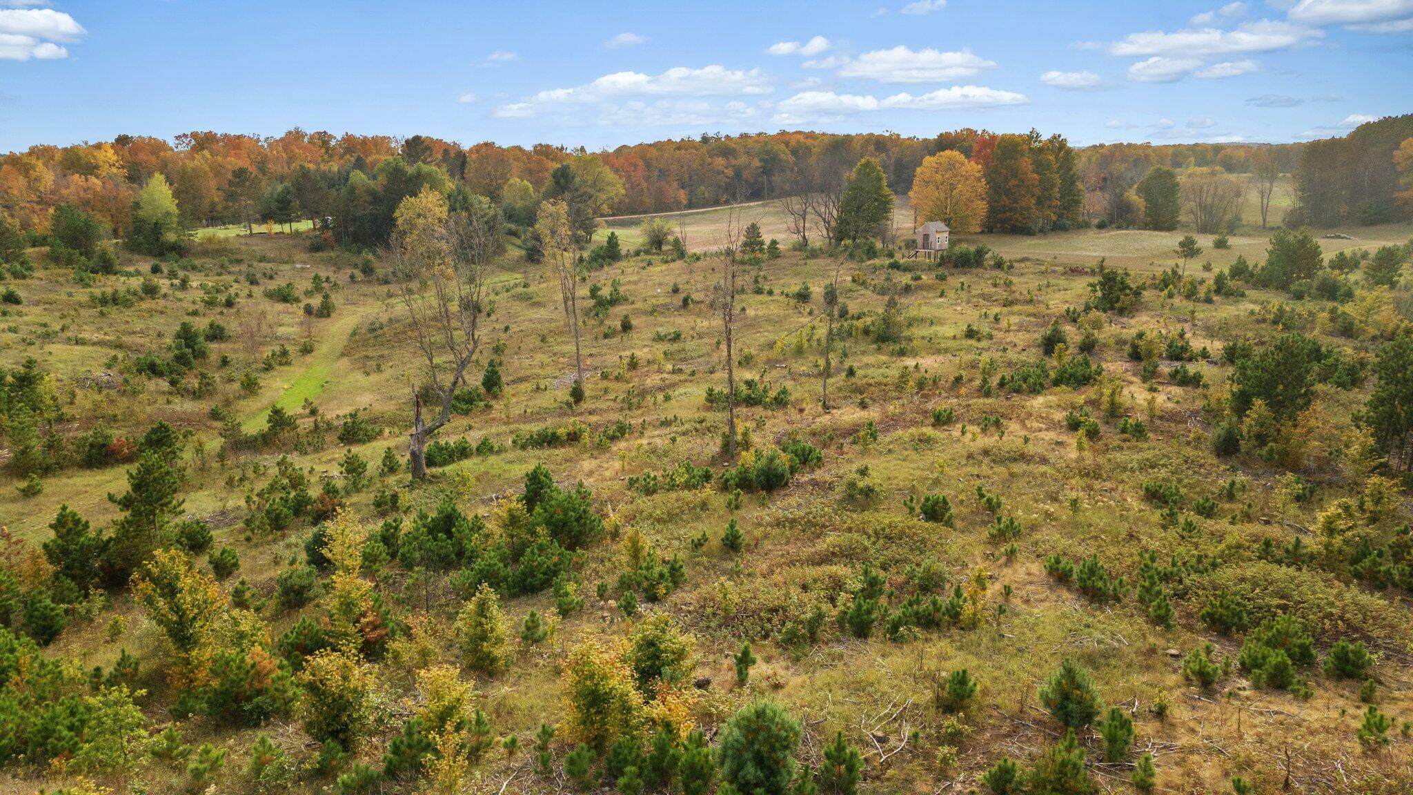 16 16 Mile Road Leroy, MI 49655 - Photo 28 of 66 65-web-or-mls-DJI_0540