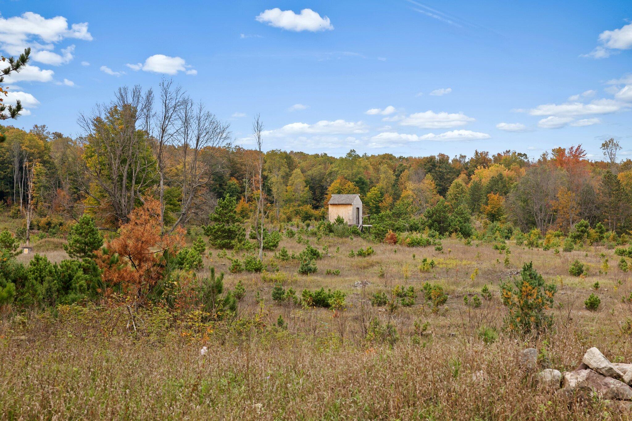 16 16 Mile Road Leroy, MI 49655 - Photo 3 of 66 2-web-or-mls-3C9A7117