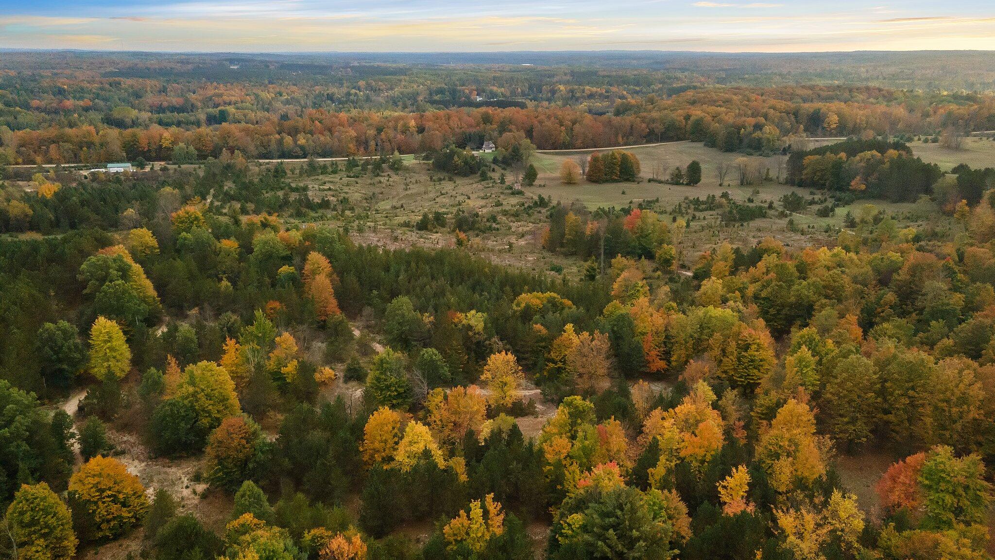 16 16 Mile Road Leroy, MI 49655 - Photo 33 of 66 74-web-or-mls-DJI_0564