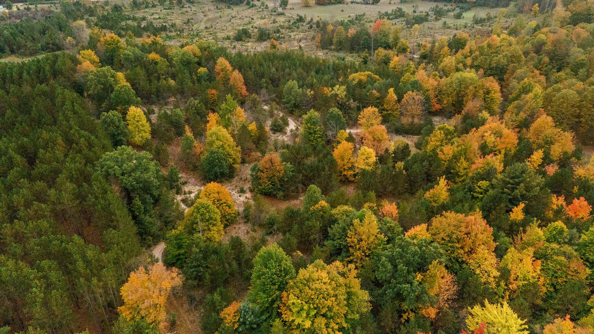 16 16 Mile Road Leroy, MI 49655 - Photo 34 of 66 75-web-or-mls-DJI_0565