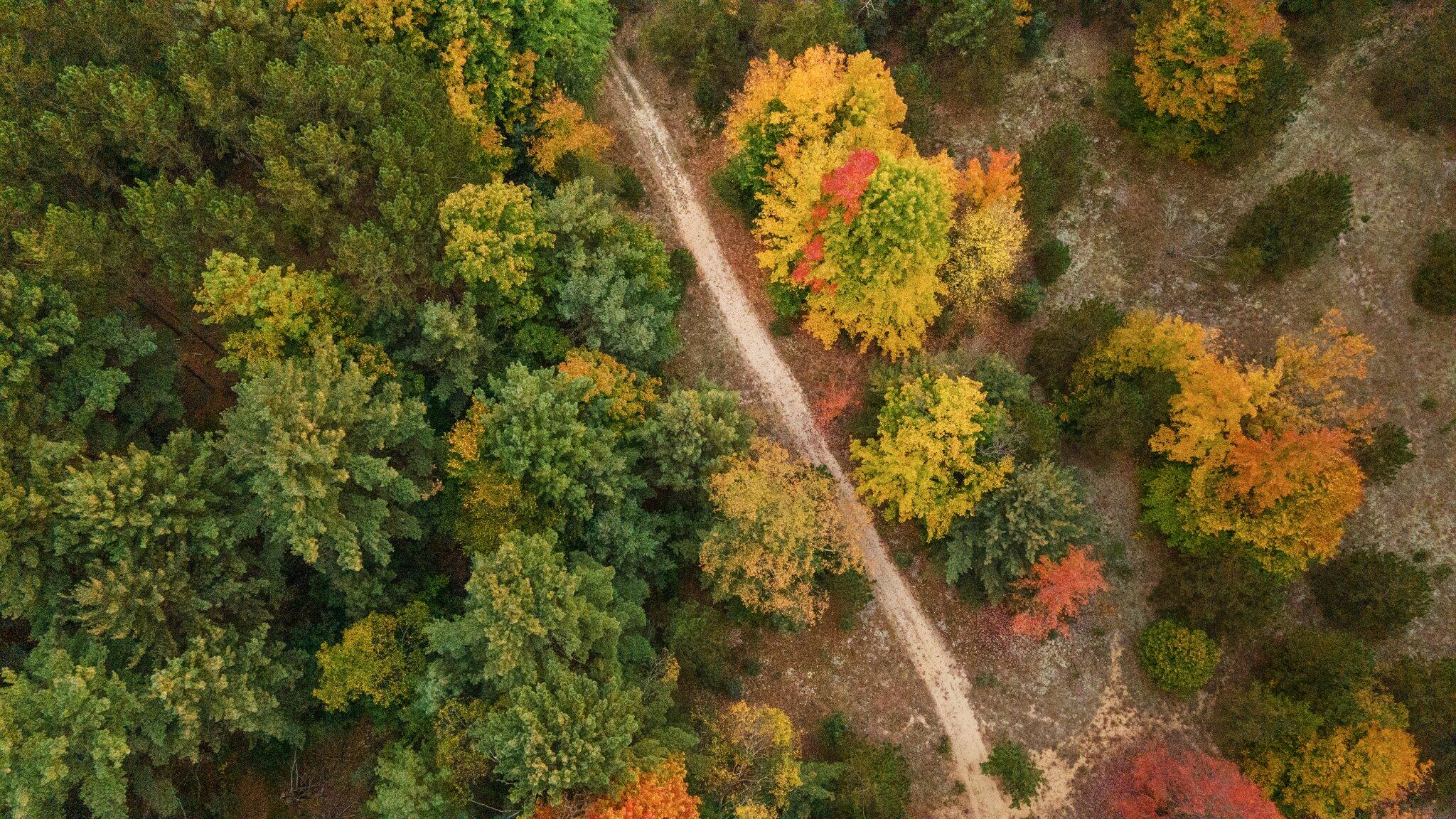 16 16 Mile Road Leroy, MI 49655 - Photo 35 of 66 76-web-or-mls-DJI_0567