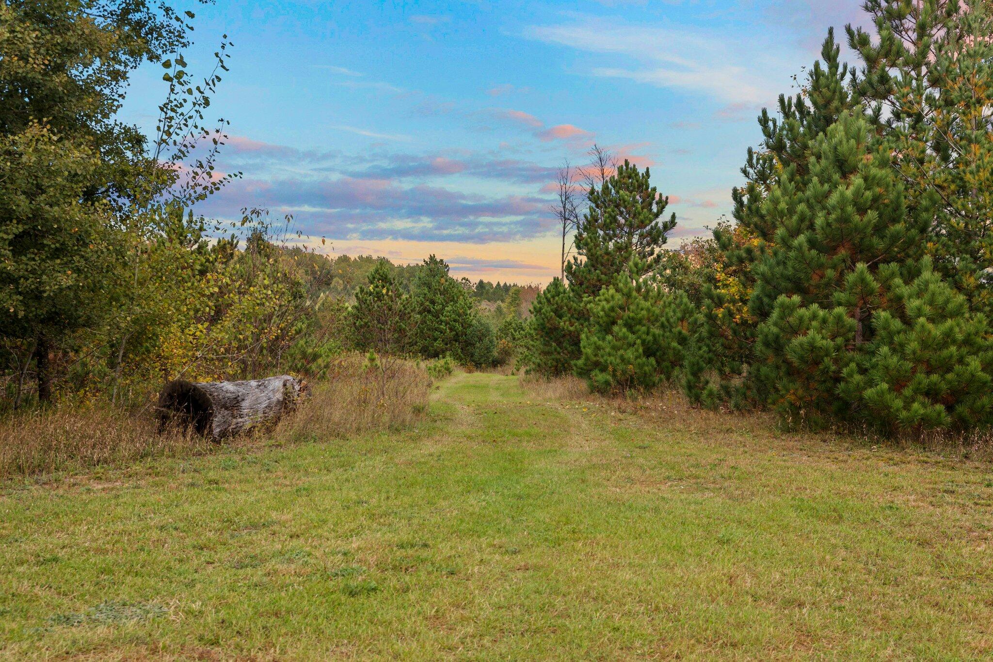16 16 Mile Road Leroy, MI 49655 - Photo 36 of 66 79-web-or-mls-3C9A7116