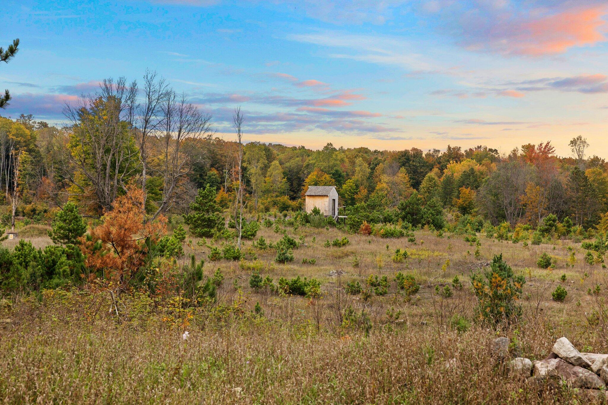 16 16 Mile Road Leroy, MI 49655 - Photo 38 of 66 81-web-or-mls-3C9A7118