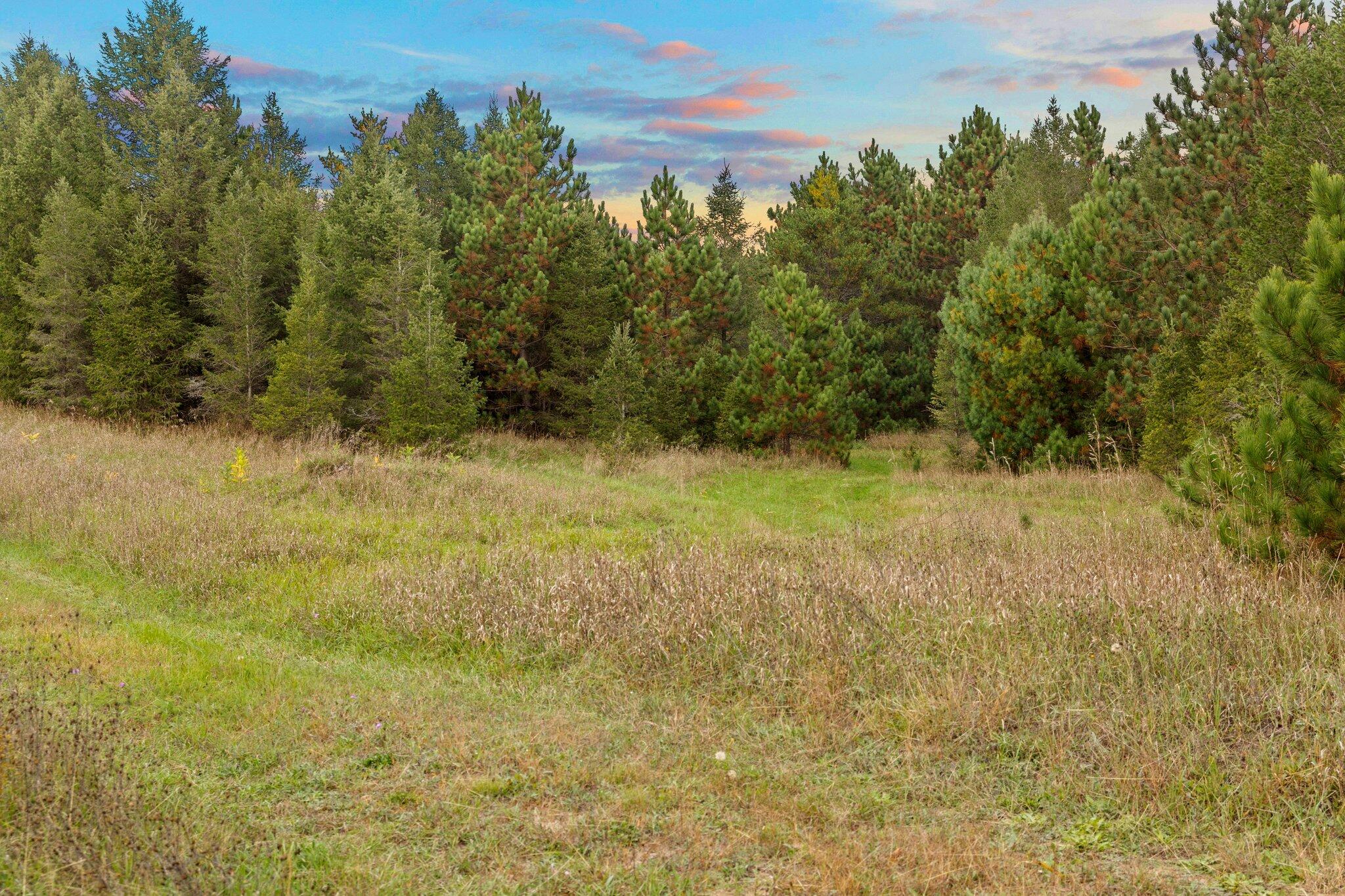16 16 Mile Road Leroy, MI 49655 - Photo 40 of 66 83-web-or-mls-3C9A7121