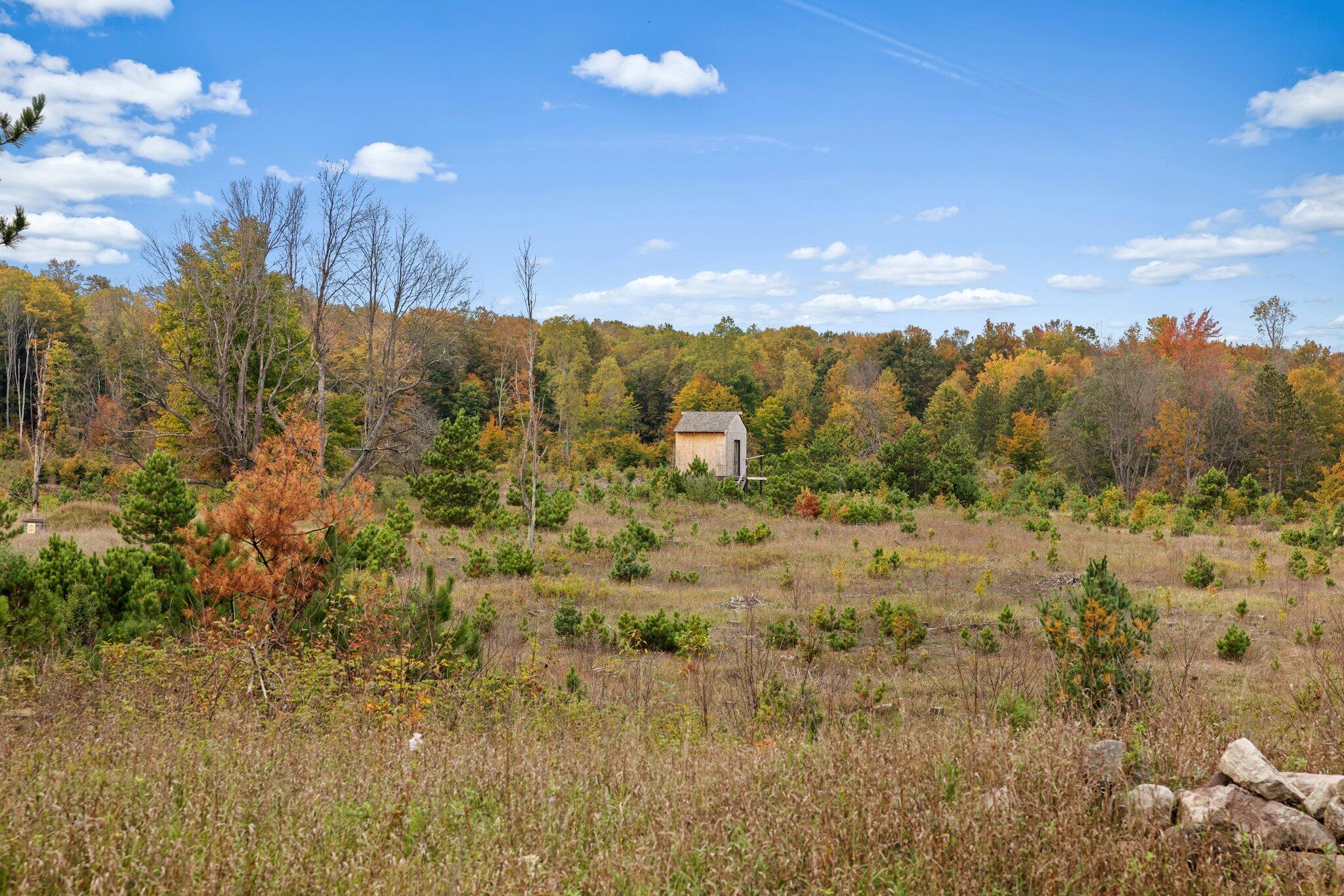 16 16 Mile Road Leroy, MI 49655 - Photo 4 of 66 3-web-or-mls-3C9A7118