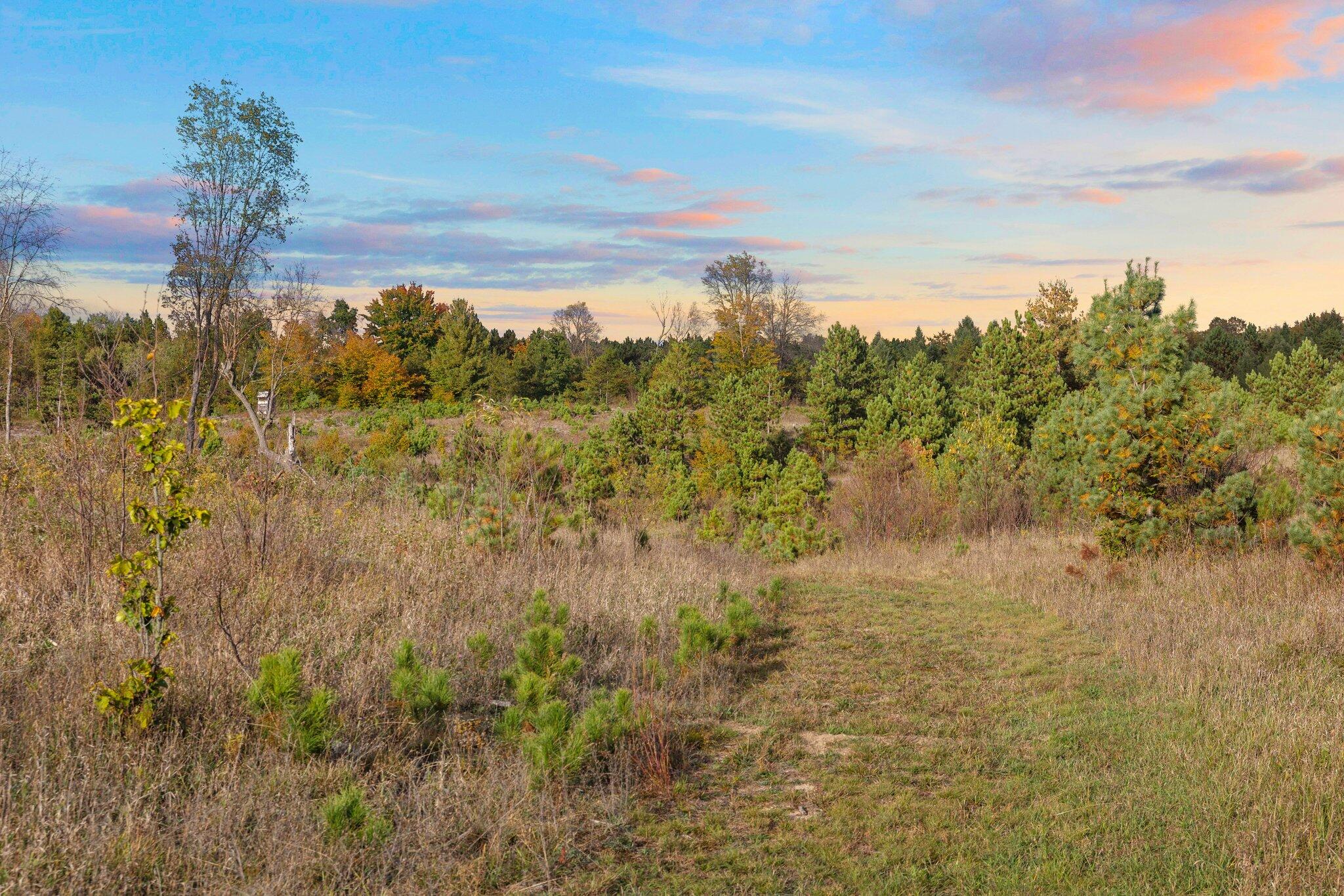 16 16 Mile Road Leroy, MI 49655 - Photo 45 of 66 88-web-or-mls-3C9A7126