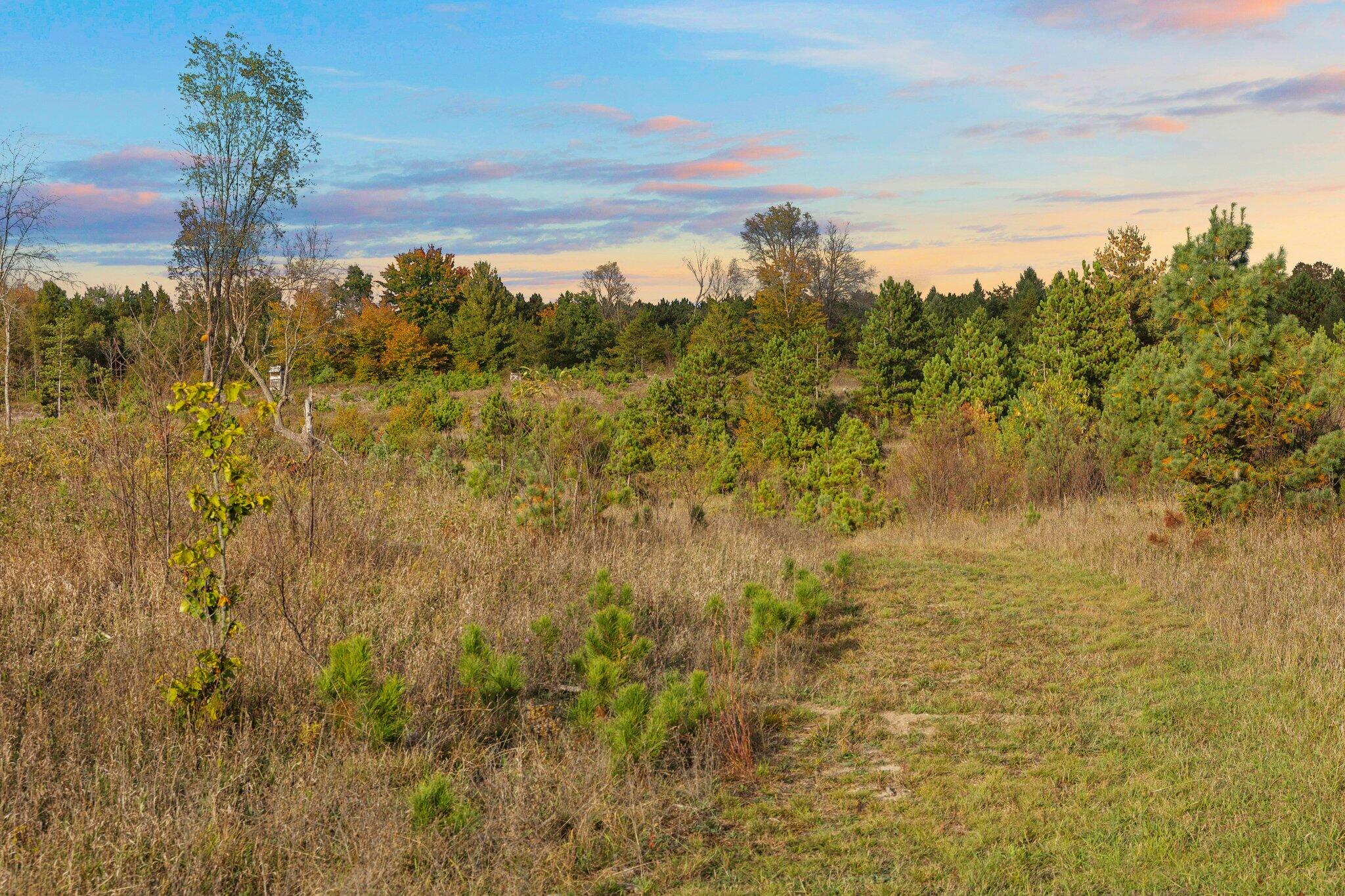 16 16 Mile Road Leroy, MI 49655 - Photo 46 of 66 89-web-or-mls-3C9A7127