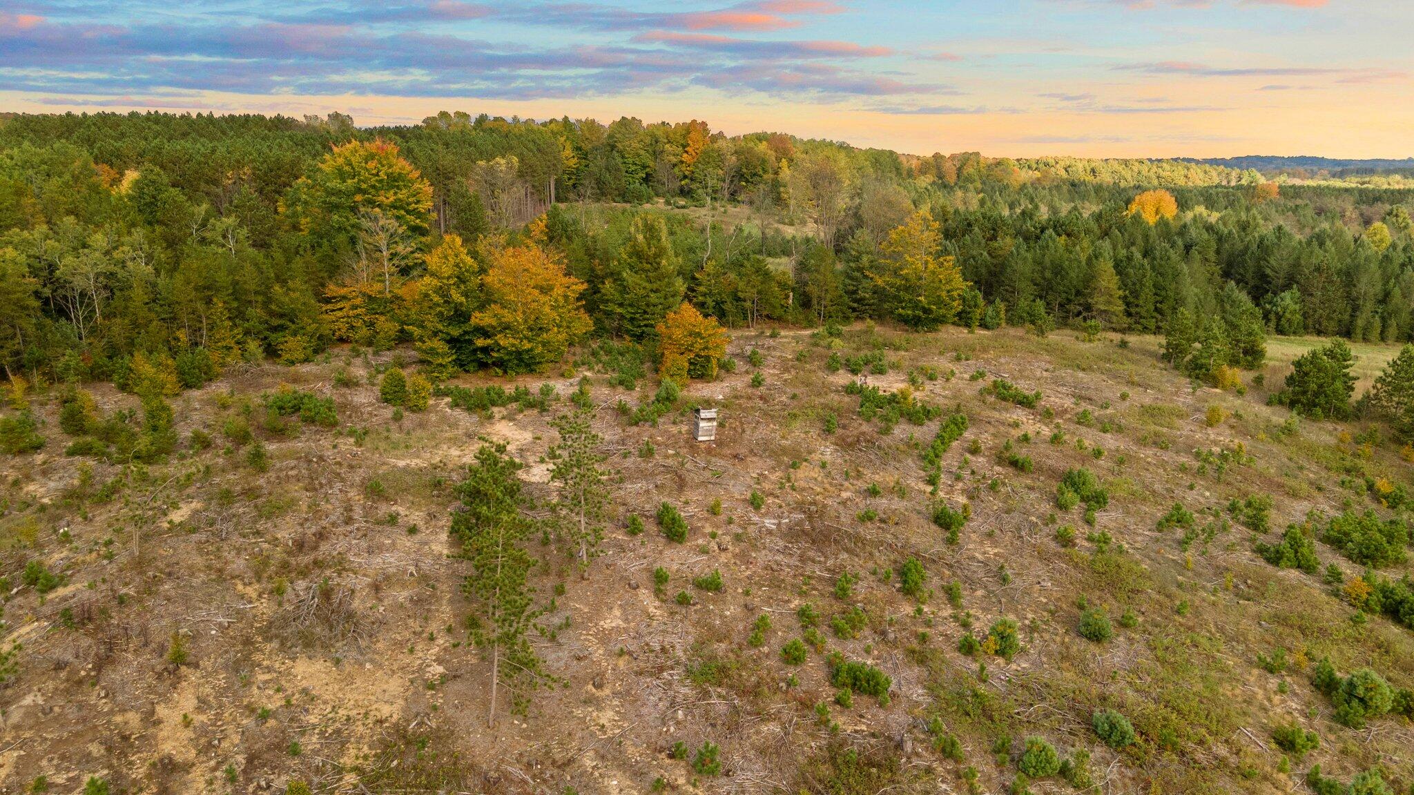 16 16 Mile Road Leroy, MI 49655 - Photo 51 of 66 106-web-or-mls-DJI_0537