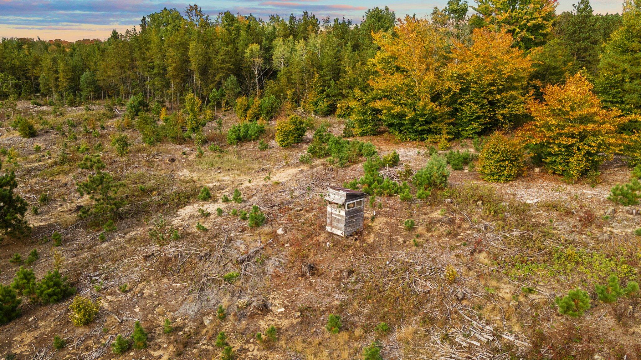 16 16 Mile Road Leroy, MI 49655 - Photo 52 of 66 107-web-or-mls-DJI_0539