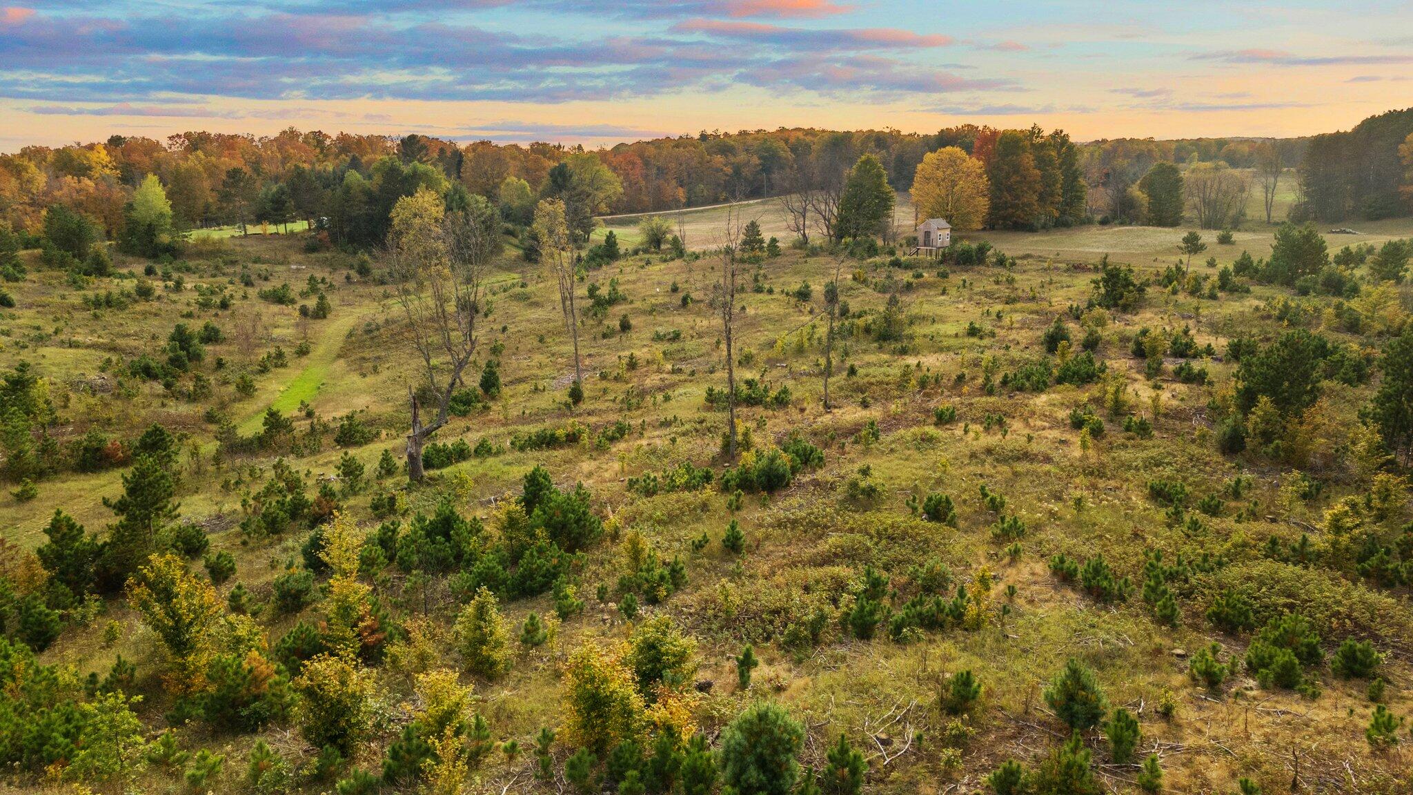 16 16 Mile Road Leroy, MI 49655 - Photo 53 of 66 108-web-or-mls-DJI_0540