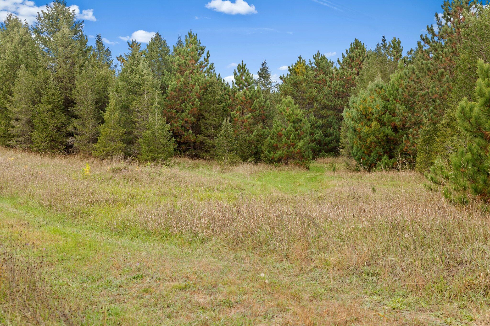 16 16 Mile Road Leroy, MI 49655 - Photo 6 of 66 5-web-or-mls-3C9A7121