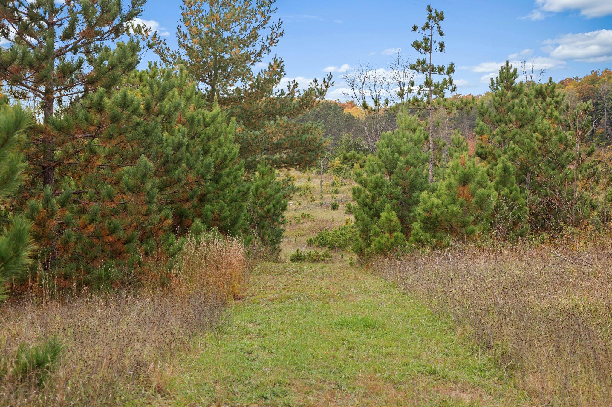 16 16 Mile Road Leroy, MI 49655 - Photo 7 of 66 6-web-or-mls-3C9A7122