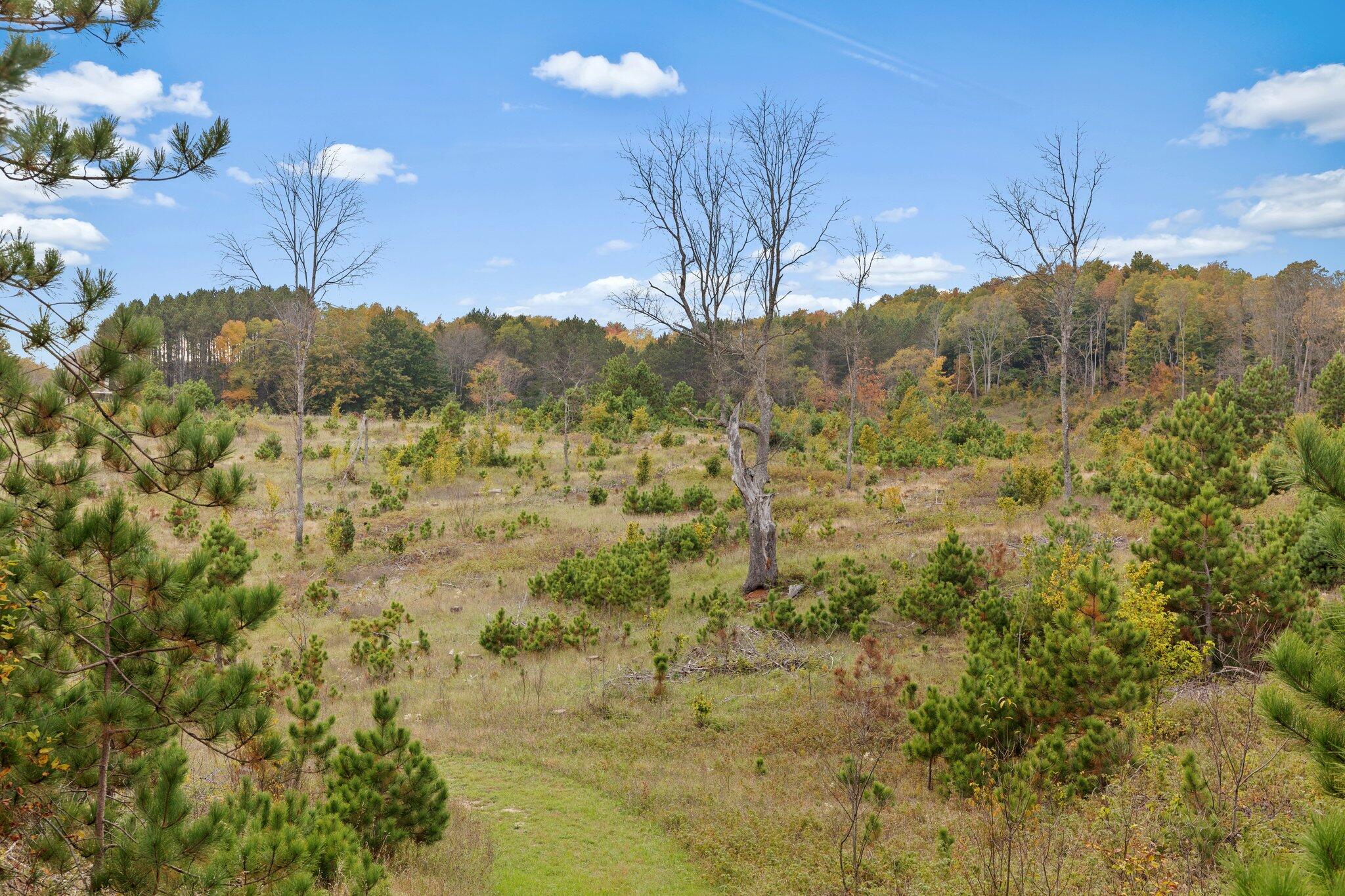 16 16 Mile Road Leroy, MI 49655 - Photo 8 of 66 7-web-or-mls-3C9A7123