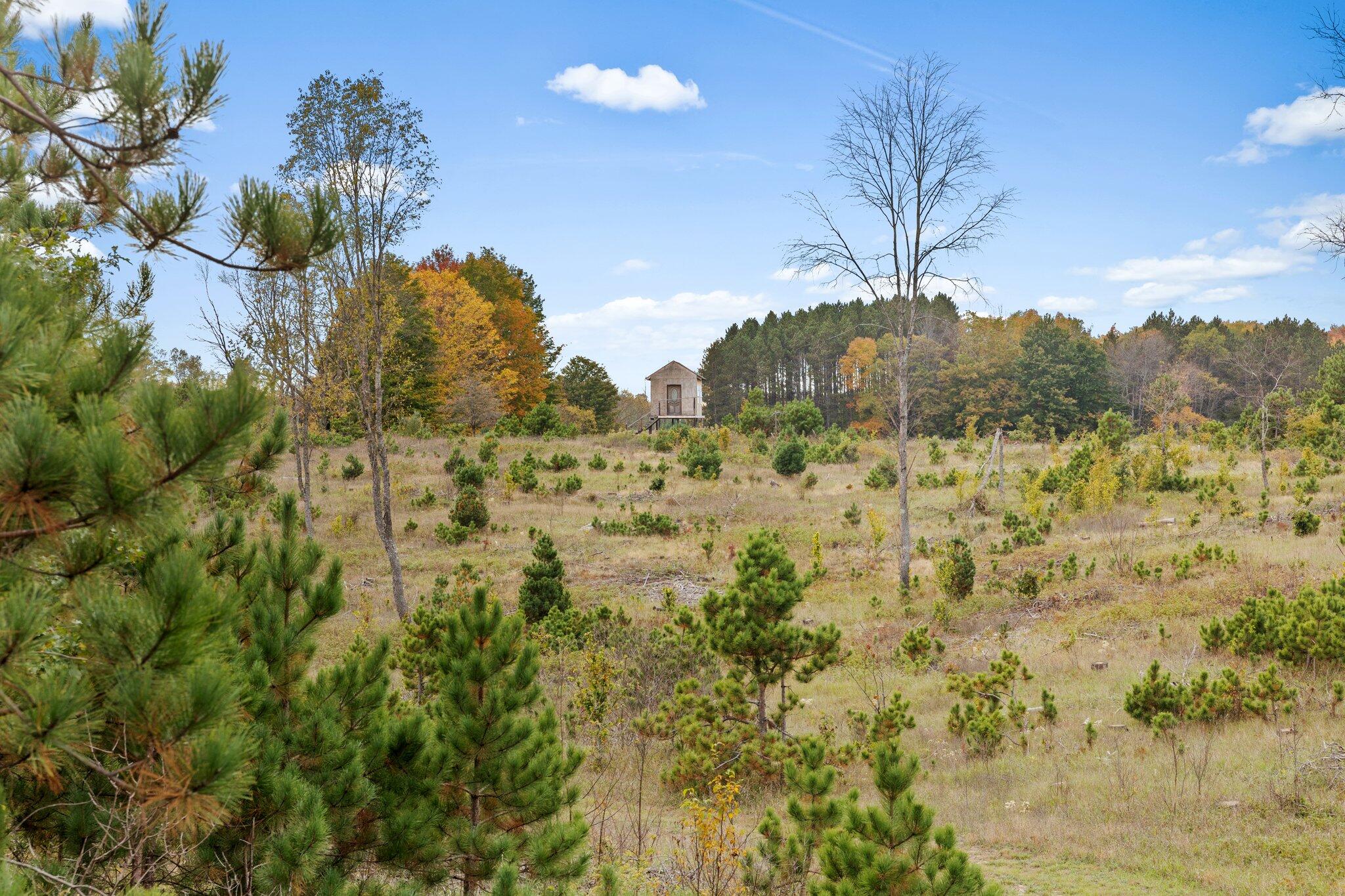 16 16 Mile Road Leroy, MI 49655 - Photo 9 of 66 8-web-or-mls-3C9A7124
