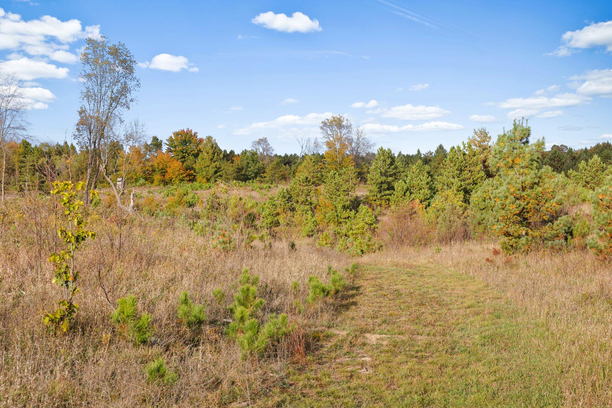 16 16 Mile Road Leroy, MI 49655 - Photo 10 of 66 10-web-or-mls-3C9A7126