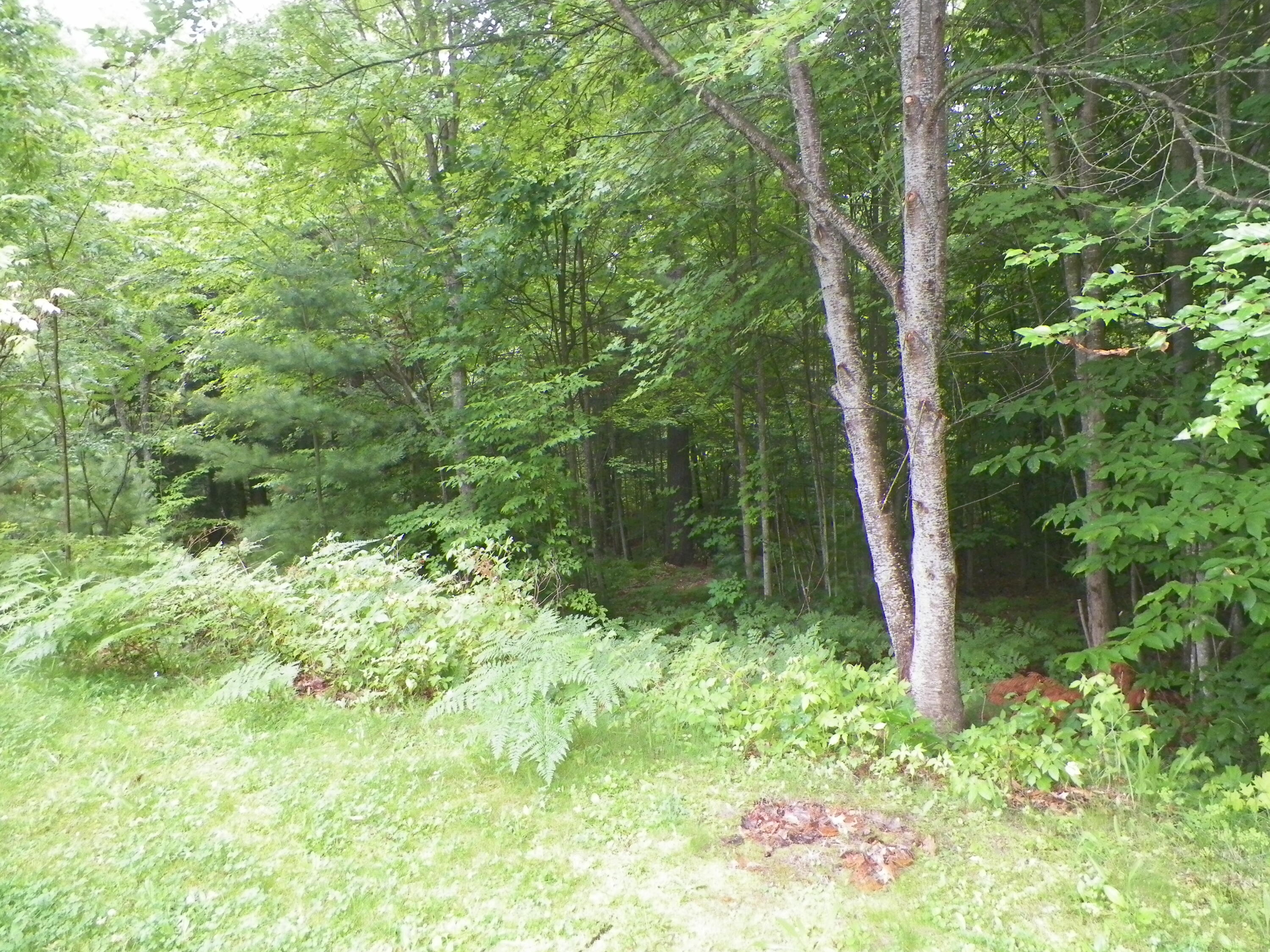 8951 East 8 Mile Road Luther, MI 49656 - Photo 16 of 16 100_3517