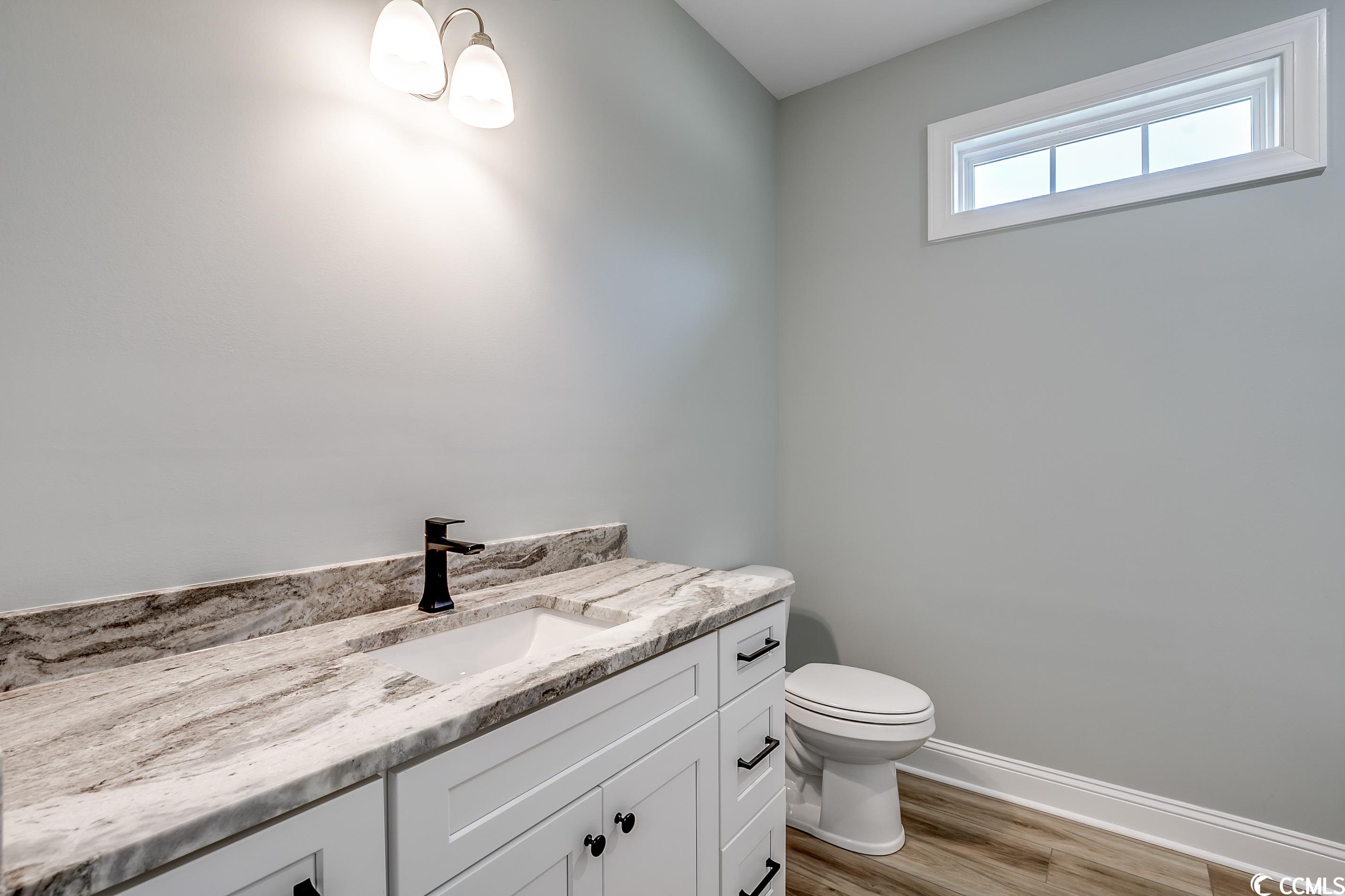 6903 Pauley Swamp Road Conway, SC 29527 - Photo 25 of 40