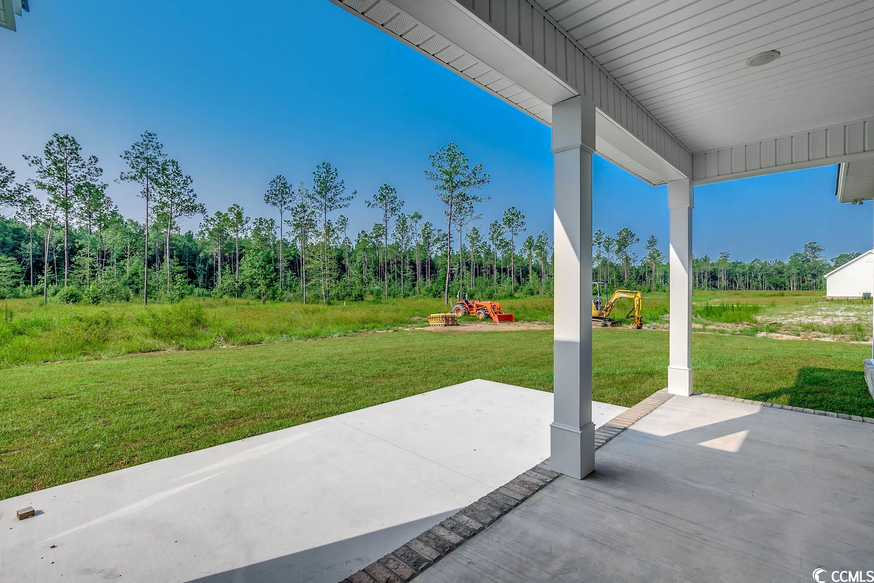 6903 Pauley Swamp Road Conway, SC 29527 - Photo 30 of 40