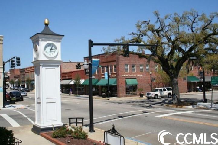 6903 Pauley Swamp Road Conway, SC 29527 - Photo 38 of 40