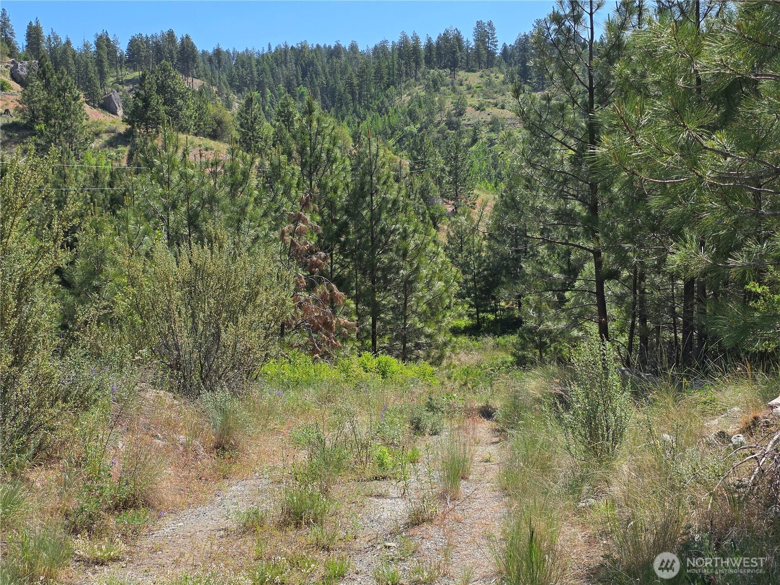 431 J Swanson Mill Road Oroville, WA 98844 - Photo 31 of 36