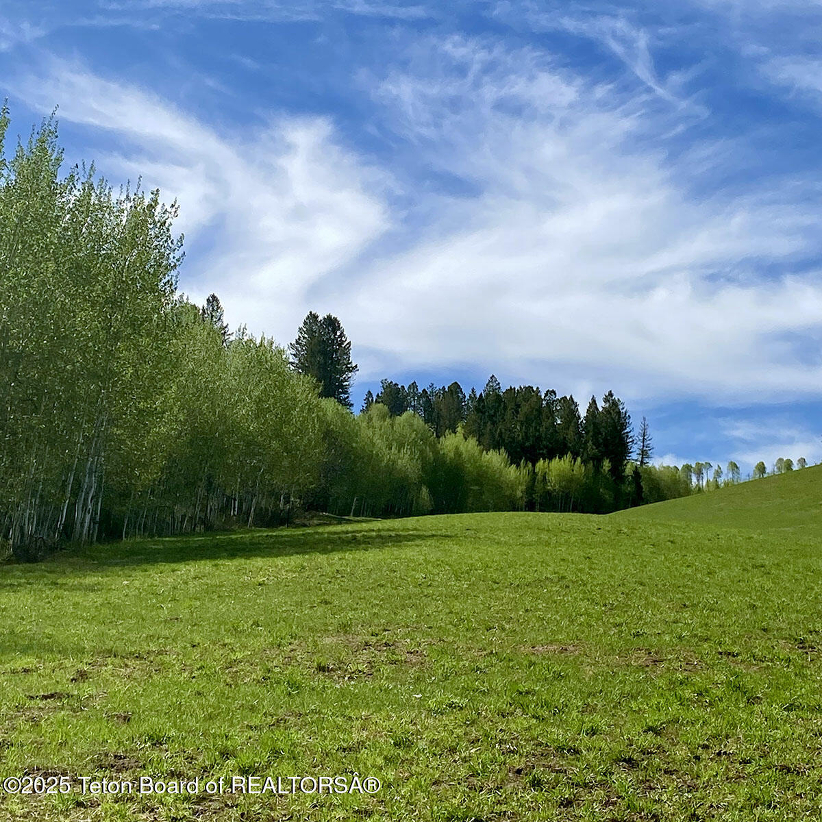 40-acres Robinson Lane Bedford, WY 83112 - Photo 11 of 15 IMG_2340cr