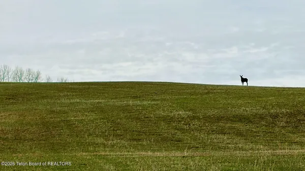 $720,000 | 40-acres Robinson Lane, Bedford, WY 83112