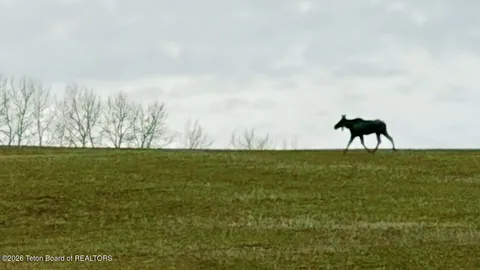 $720,000 | 40-acres Robinson Lane, Bedford, WY 83112