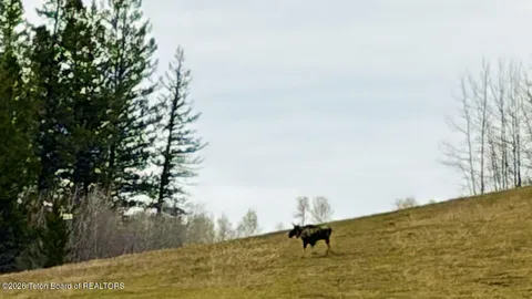 $720,000 | 40-acres Robinson Lane, Bedford, WY 83112