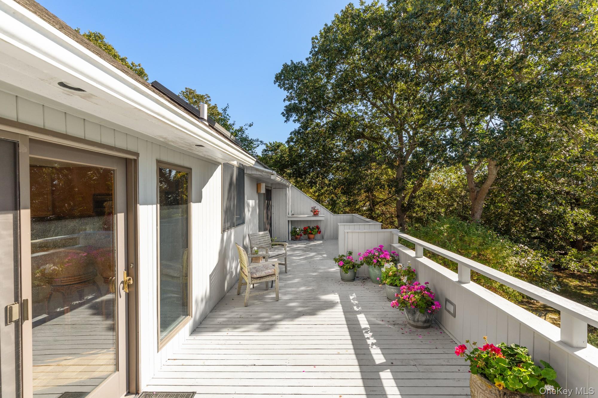 29 Kenwood Road Southampton, NY 11968 - Photo 26 of 35 a potted plant sitting on the side of a glass door
