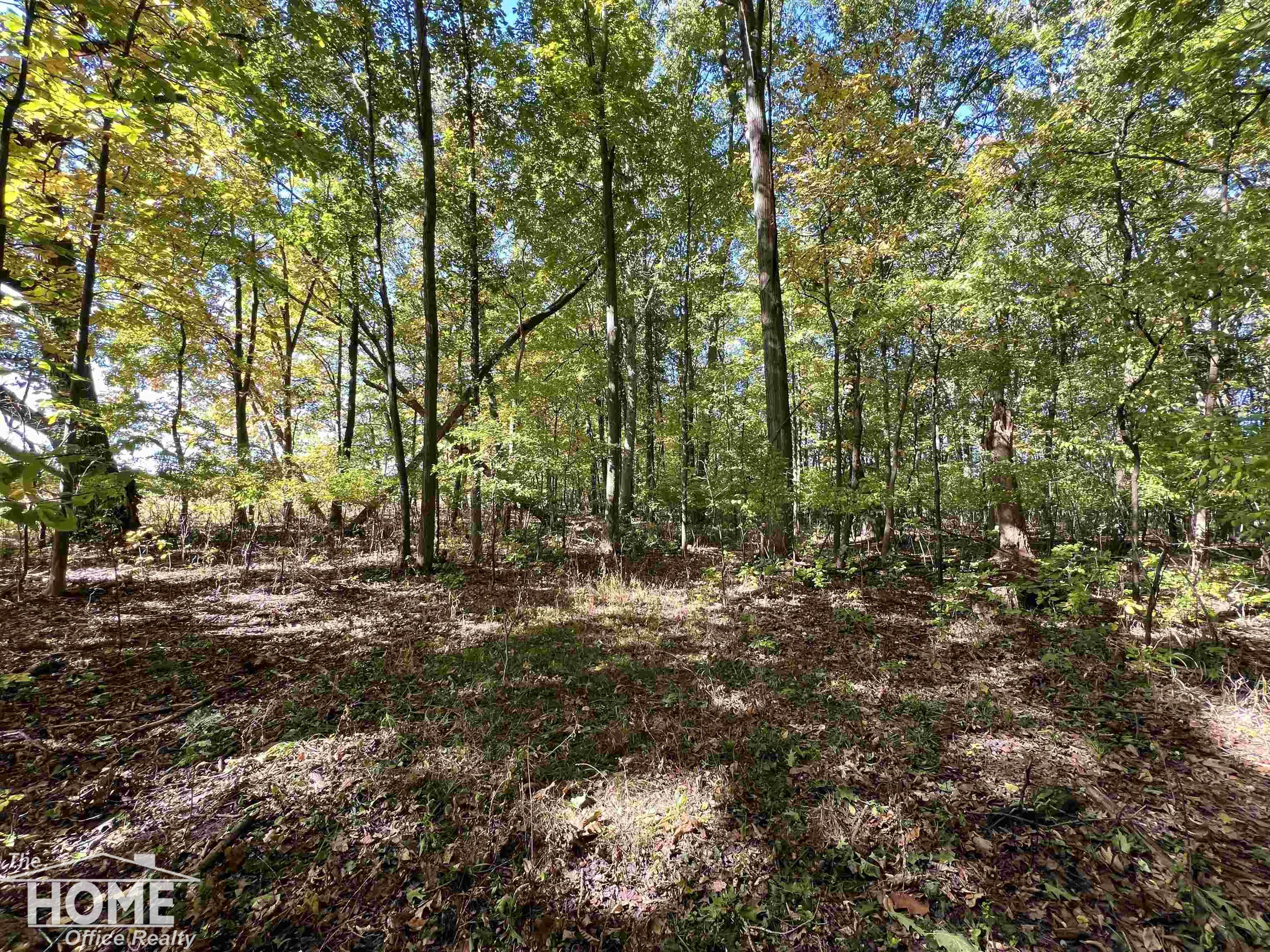 10246 Scribner Road Bancroft, MI 48414 - Photo 78 of 87 50157967-77e67bf2-38f2-4108-a837-1f288de77a3f.JPG