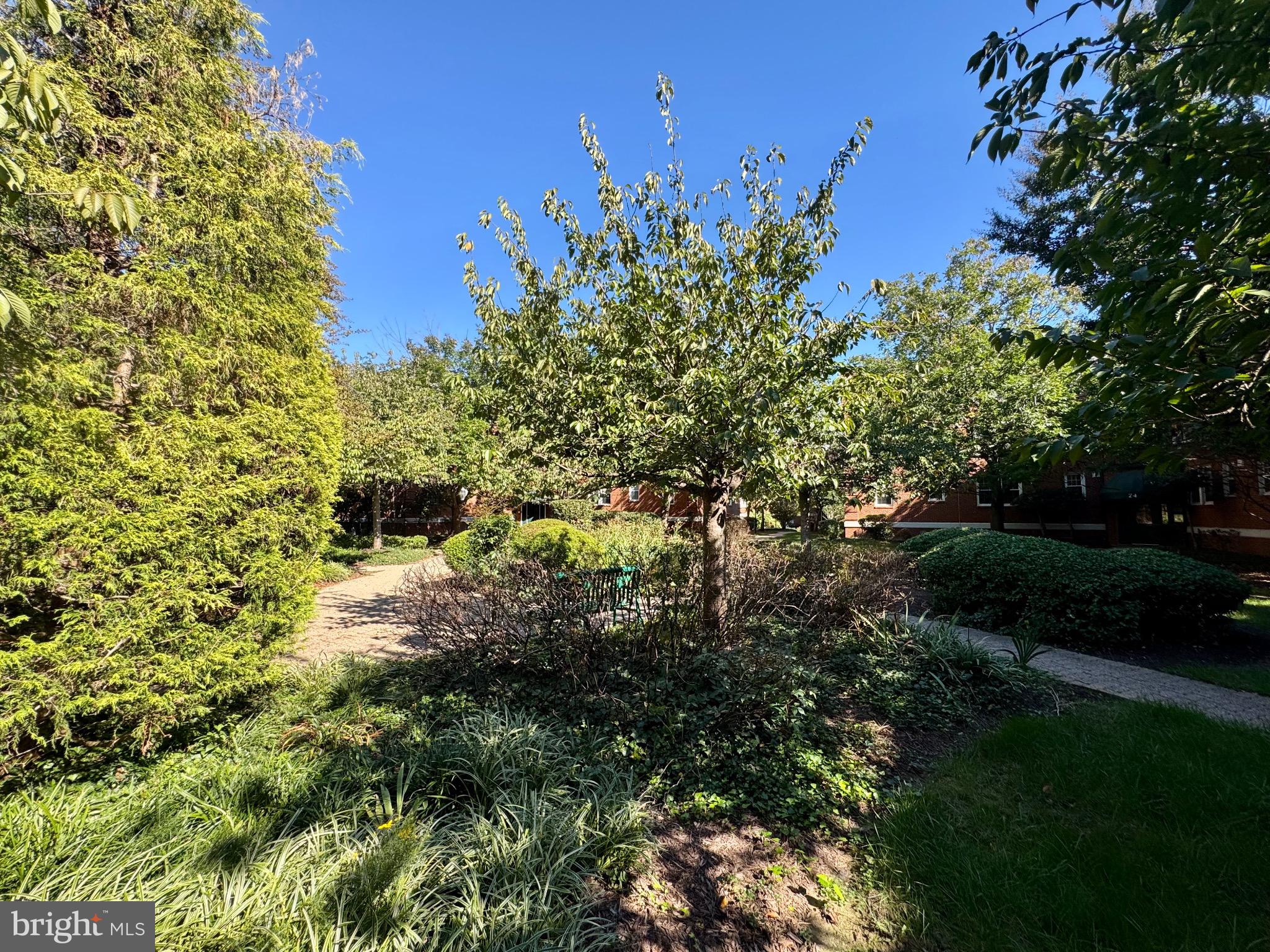 22 South Old Glebe Road, Unit 106D Arlington, VA 22204 - Photo 18 of 19 Lush garden under a clear blue sky.