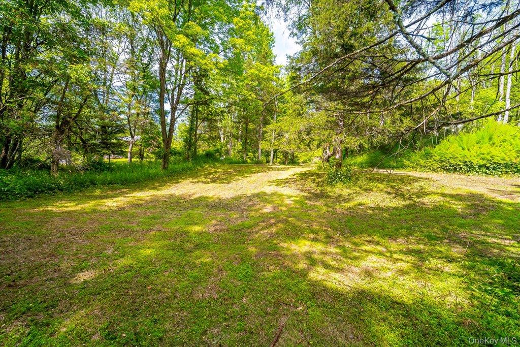 Jackson Corners Road Red Hook, NY 12571 - Photo 16 of 24 Gallery Image 16