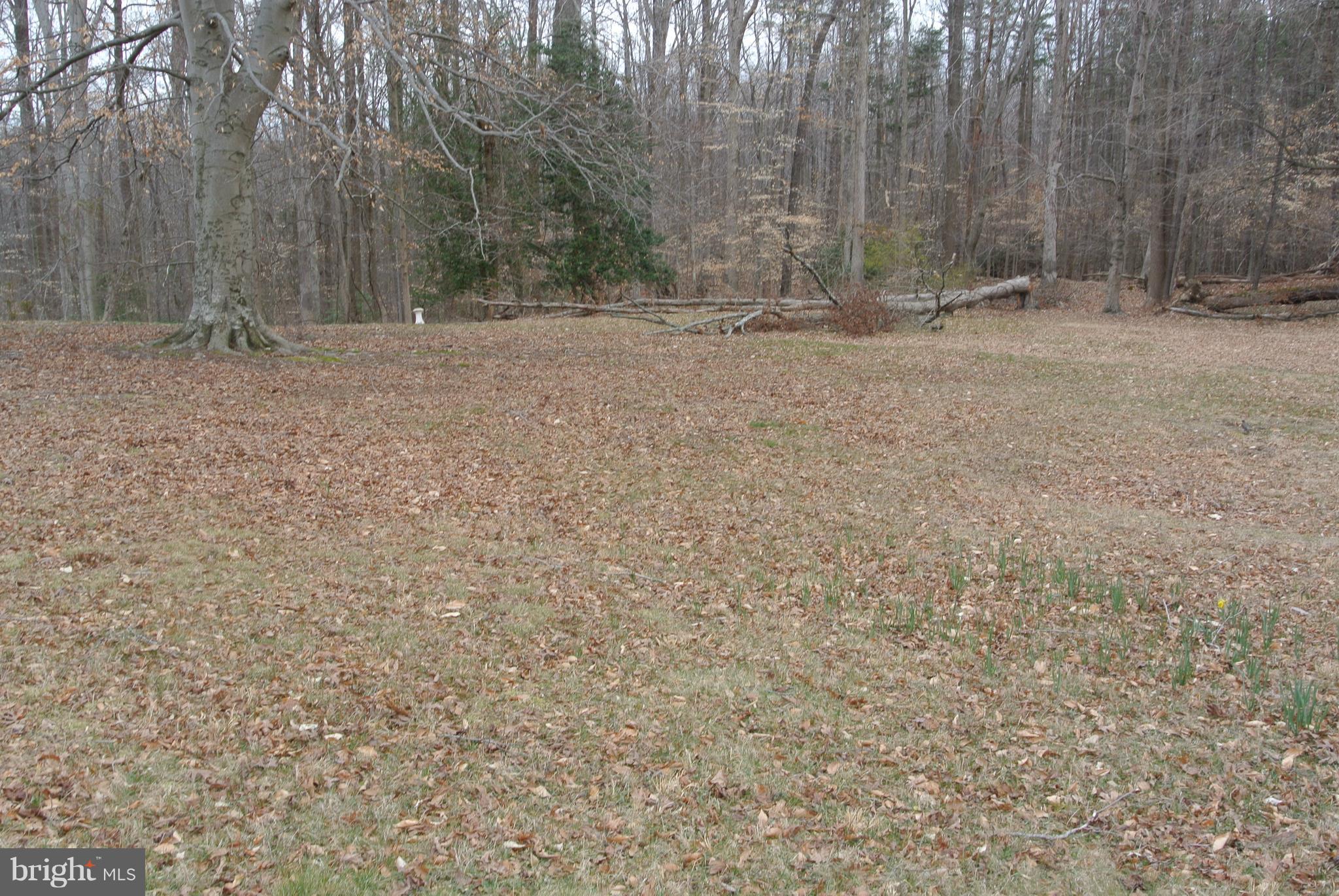 6110 Buckler Road Clinton, MD 20735 - Photo 27 of 30 Exterior (Rear)