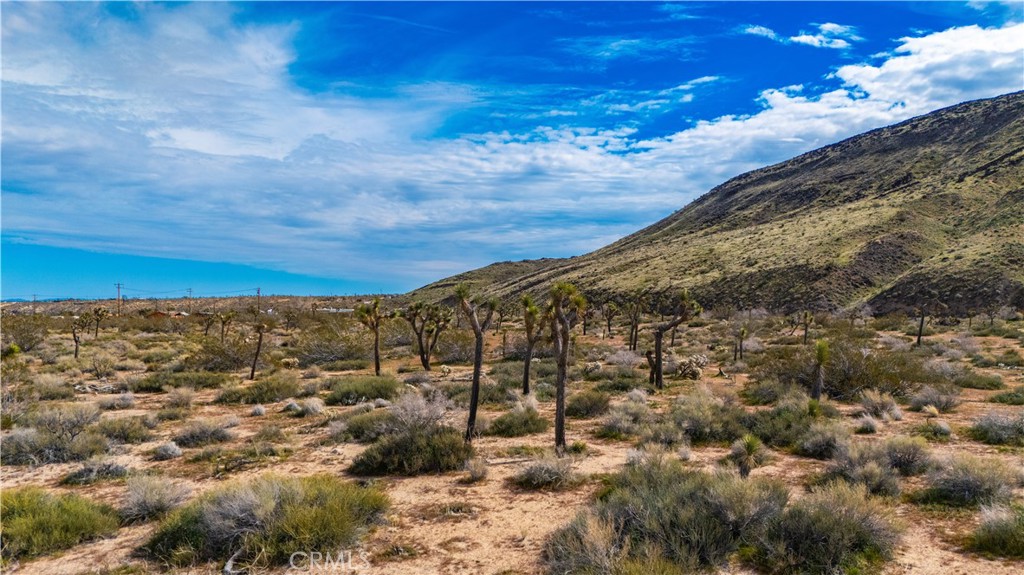 55455 Pipes Canyon Road Yucca Valley, CA 92284 - Photo 16 of 47