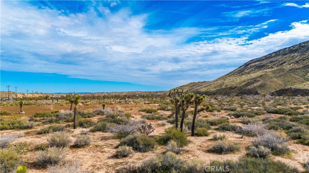 55455 Pipes Canyon Road Yucca Valley, CA 92284 - Photo 25 of 47