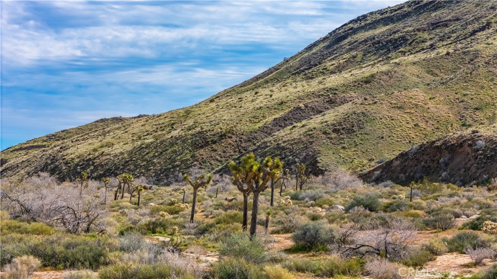 55455 Pipes Canyon Road Yucca Valley, CA 92284 - Photo 27 of 47
