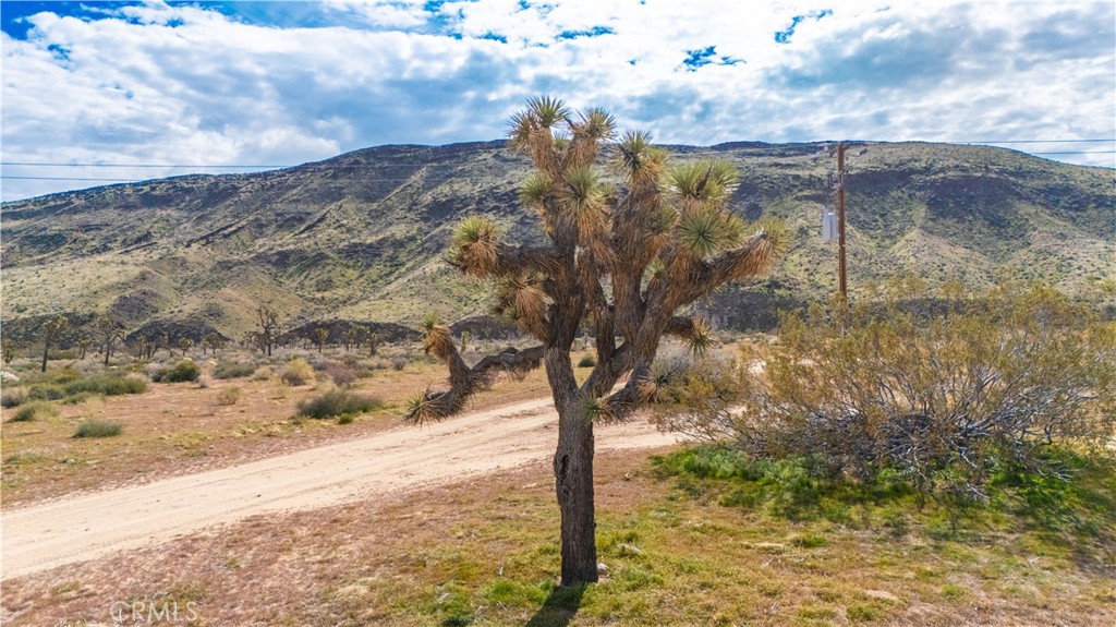 55455 Pipes Canyon Road Yucca Valley, CA 92284 - Photo 28 of 47