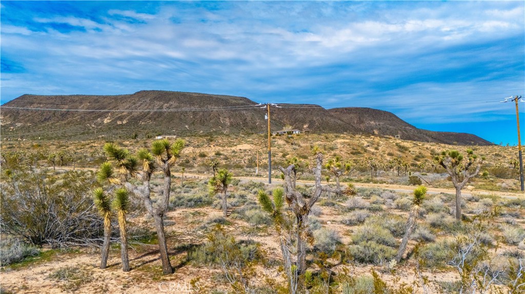 55455 Pipes Canyon Road Yucca Valley, CA 92284 - Photo 32 of 47