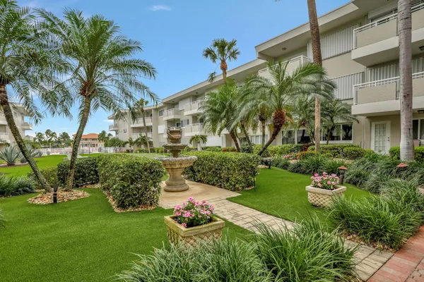 a view of a garden with a palm tree