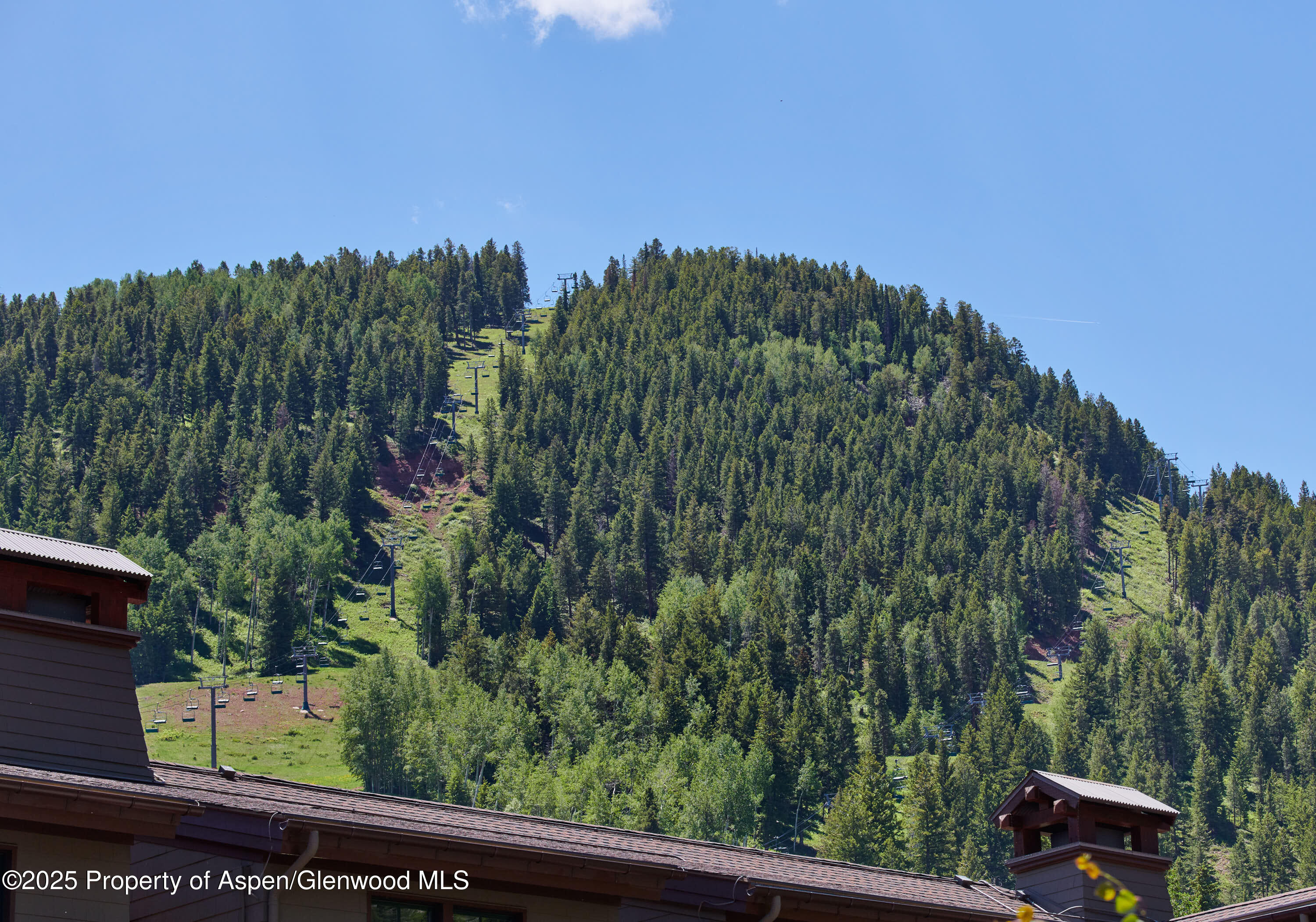 75 Prospector Road, Unit 82154 Aspen, CO 81611 - Photo 8 of 15 a view of a yard and mountain view
