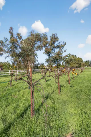 $975,000 | 8730 Bamarcia Drive, Elk Grove, CA 95624