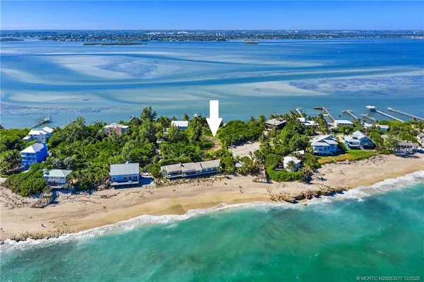 a picture of a floor to ceiling window and potted plant