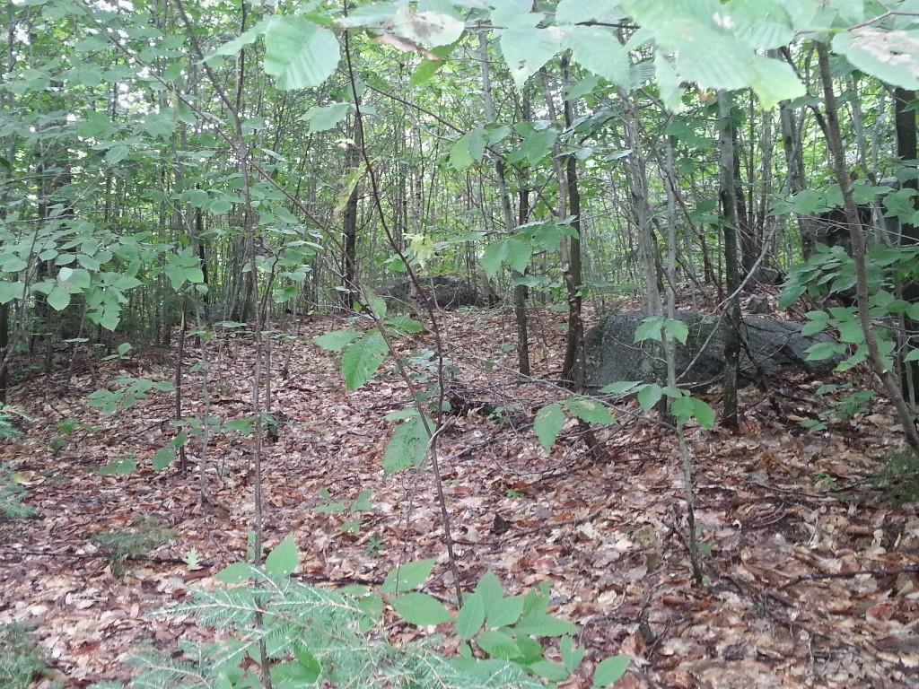 Lot 17 West Summit Road Bryant Pond, ME 04219 - Photo 7 of 12 Photo