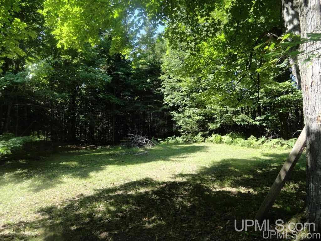 Tbd Tunteri Road Chatham, MI 49816 - Photo 2 of 15