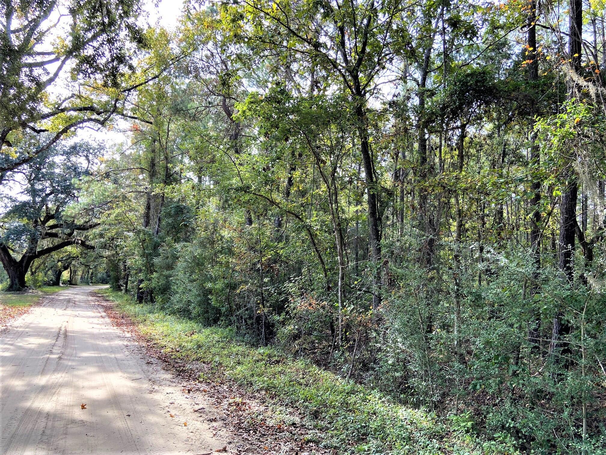 4 Road Frontage Coming from Buck Hall Rd