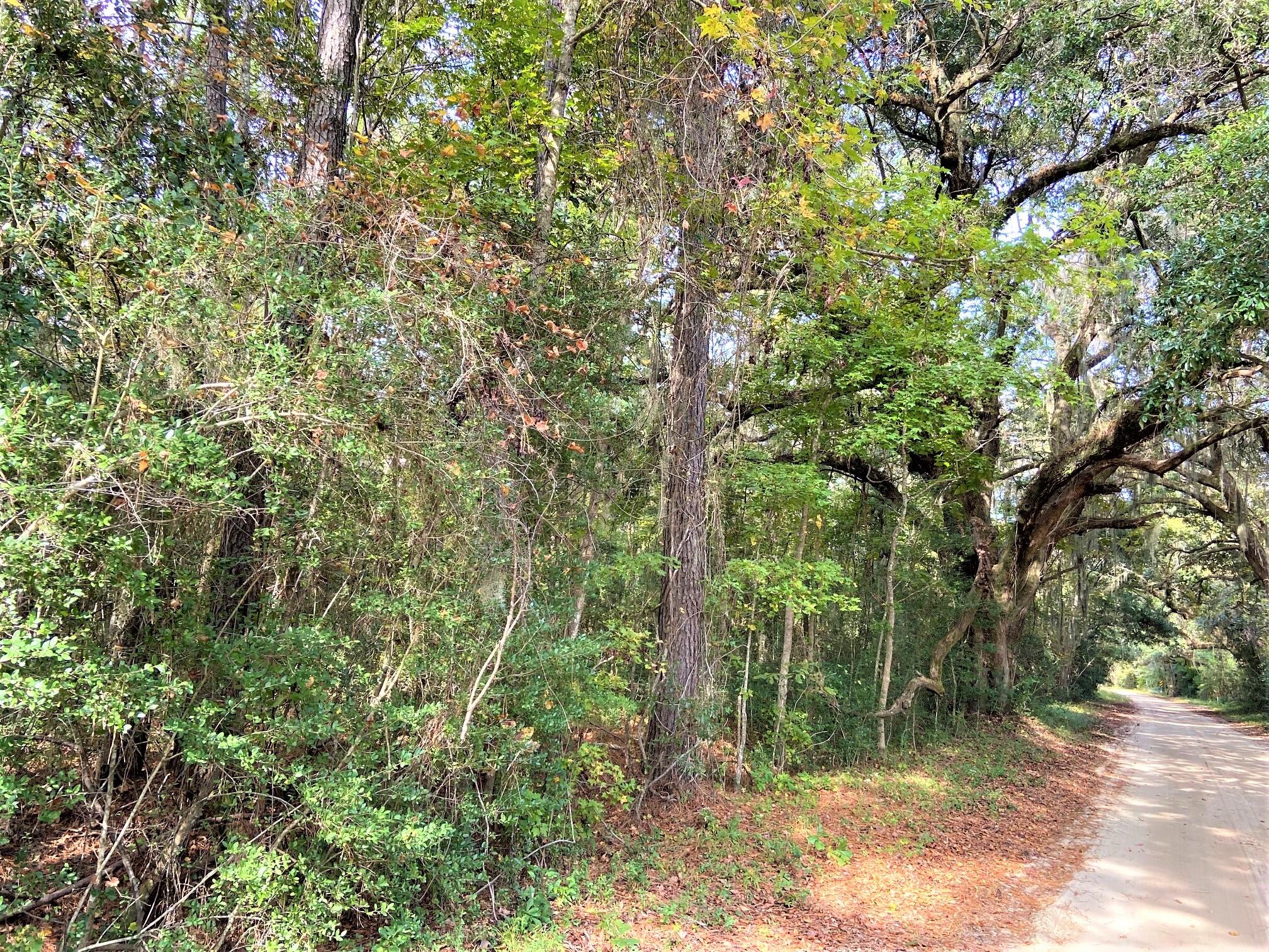 5. Road Frontage heading North from the