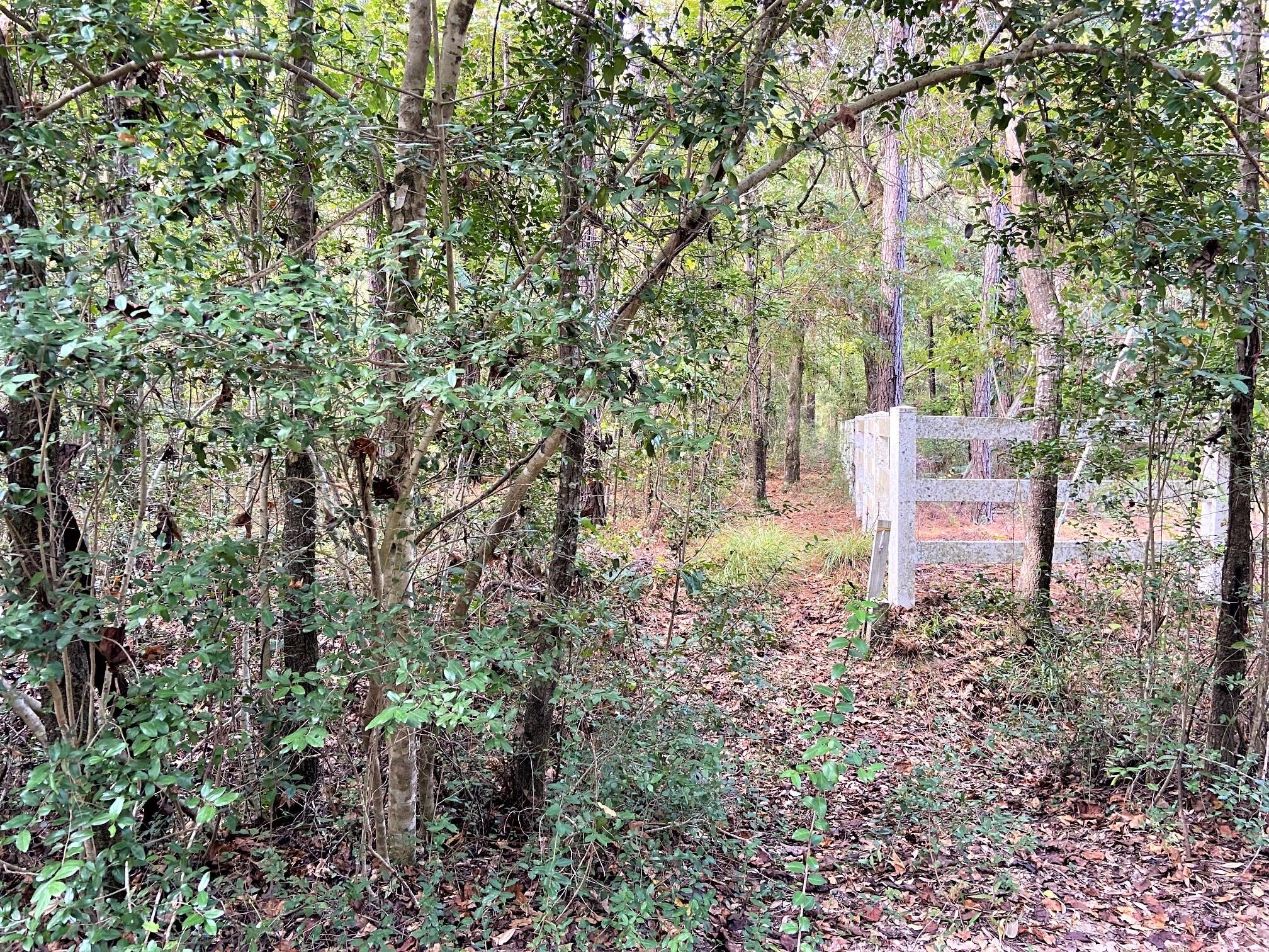 0 Old Georgetown Road McClellanville, SC 29458 - Photo 8 of 8 8 Right Corner - Best Access to walk the