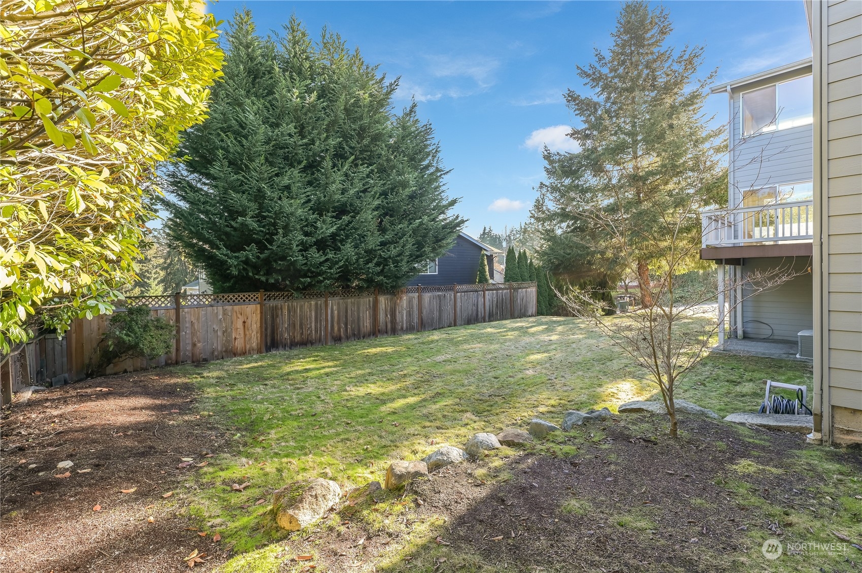 10408 Southeast 13th Street Bellevue, WA 98004 - Photo 31 of 38 a view of a yard with a tree