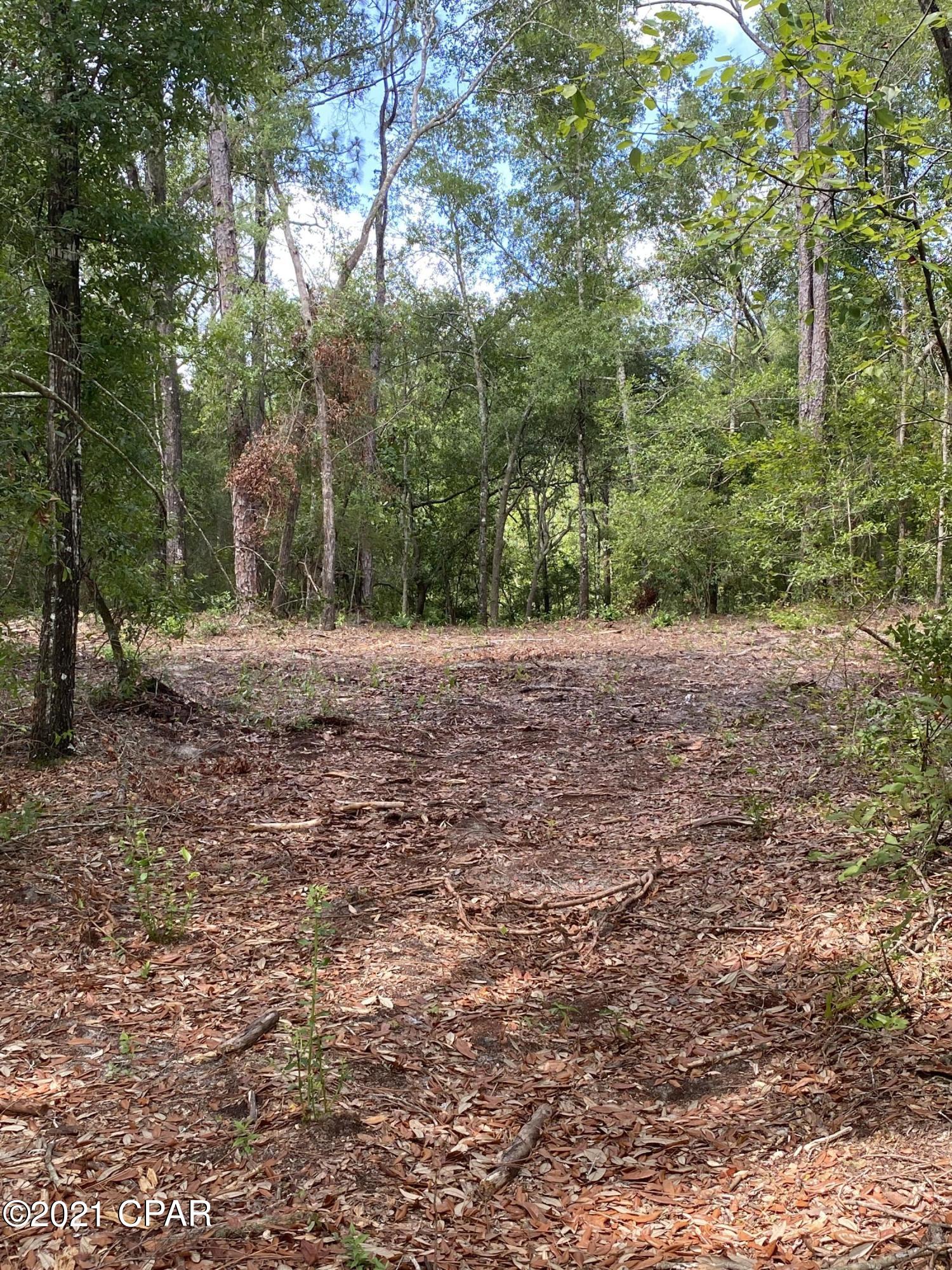 0 Grassy Pond Road, Unit GREENHEAD) Chipley, FL 32428 - Photo 11 of 22 Gallery Image 11