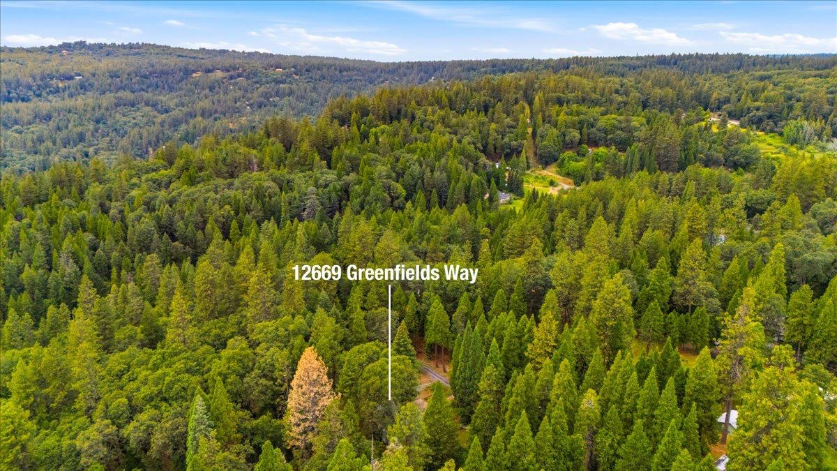 12669 Greenfields Way Grass Valley, CA 95945 - Photo 29 of 29